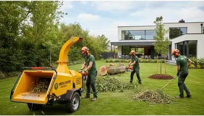 Professional landscaping and tree removal in Memphis, TN by Chop Chop Tree experts